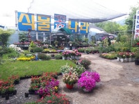 식물나라화원