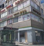 모디스가발