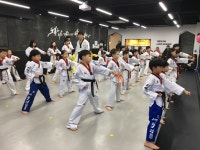 용인대리더태권도