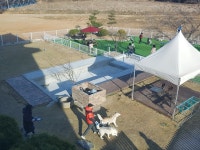 PTP 애견테마파크