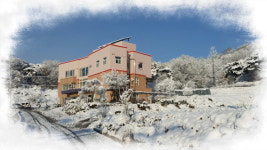 효사랑고향의집