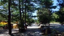 느티나무 캠핑장