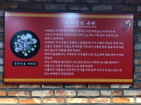 자매 뚝배기마라탕&뚝배기쌀국수