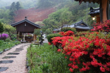지리산들꽃산방한옥계곡펜션