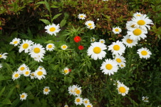 지리산들꽃산방한옥계곡펜션