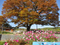 치산 123 펜션민박