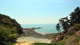 아라펜션