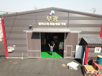 부광