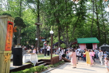 에코테마파크 대구숲 (휴업)