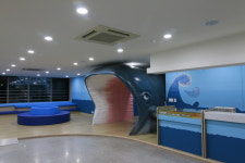 춘천중앙교회