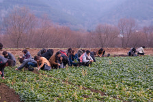 진주텃밭협동조합 초전점