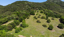 대가야 캠프타운