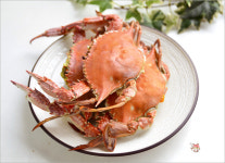 하늘관광농원 펜션