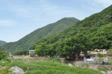 들살이오토캠핑장