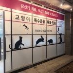 제주키움동물병원