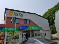 내면농협 방내지점