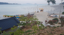 천사바다블라썸