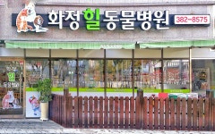 화정힐동물병원