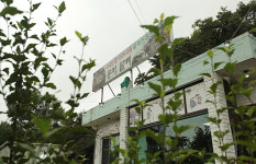 콩지팥찌