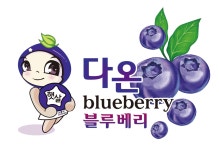 다온블루베리농원