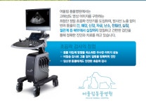 어울림동물병원