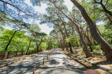 연수네펜션