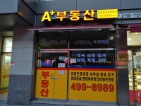 에이플러스공인중개사사무소