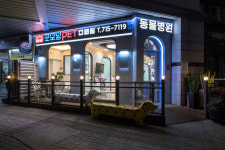 굿모닝펫동물병원