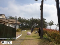 완도해금펜션