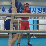 레드복싱클럽