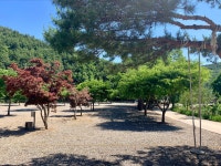 삼척엘림캠핑장