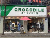 여성크로커다일 사상점