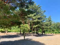 삼척엘림캠핑장