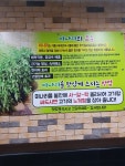 빨대네 미나리 생삼겹살