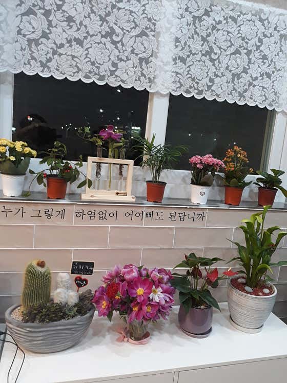 128TeaCafe 사진
