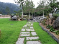신영조경