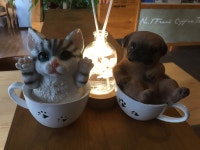 토프레소 안성비룡점