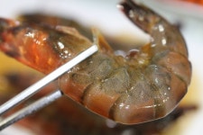 군산신선횟집