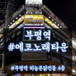 에코 노래타운