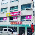 봉구애견미용샵