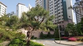 우리별부동산공인중개사사무소