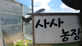 사사농장