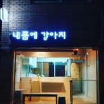 내품에 강아지
