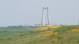알콩쌀콩영농조합법인