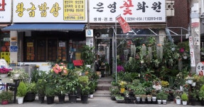 은영 꽃 화원