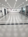 맹호합기도장