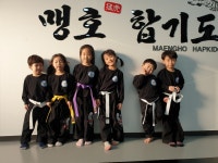 맹호합기도장