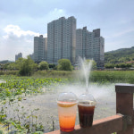 투썸플레이스 구미들성공원점