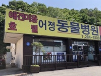 어정동물병원