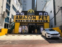 아마존펫